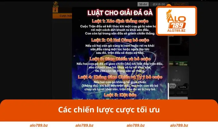 Các chiến lược cược tối ưu
