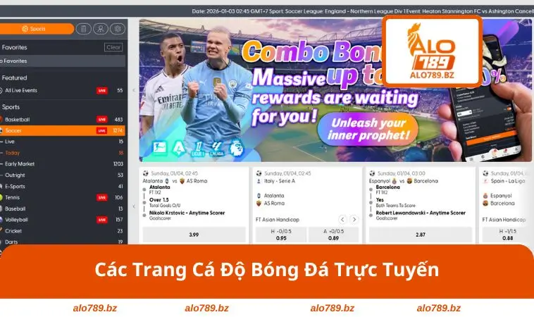Các Trang Cá Độ Bóng Đá Trực Tuyến