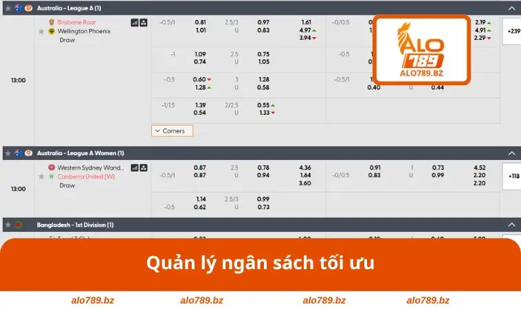 Quản lý ngân sách tối ưu