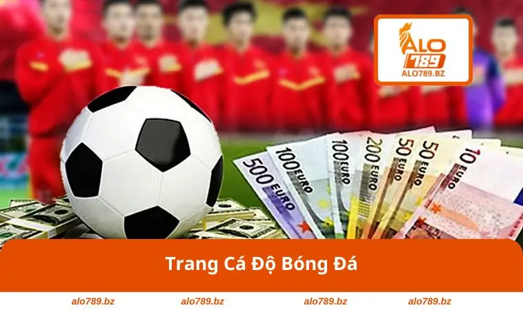 Trang Cá Độ Bóng Đá