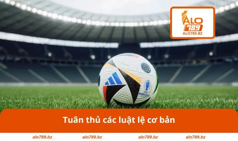 Tuân thủ các luật lệ cơ bản